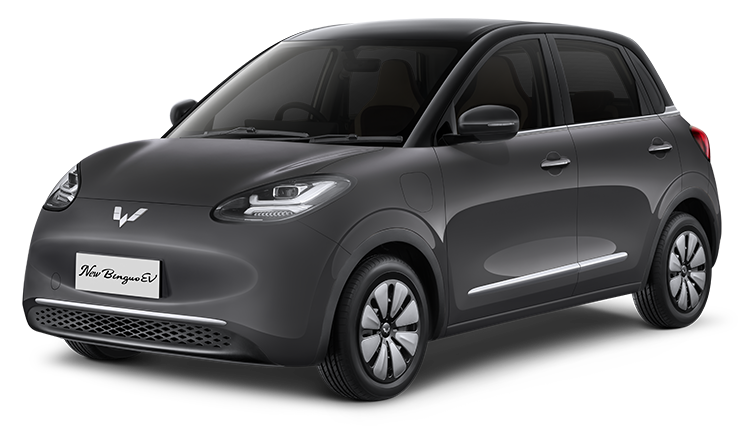 Wuling Binguo EV